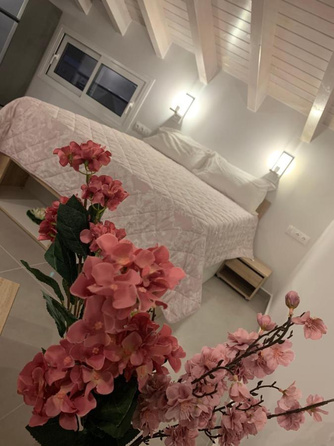 Terpsichore Boutique Bright New Sofita Studios And Appartment Dassia  Exterior foto