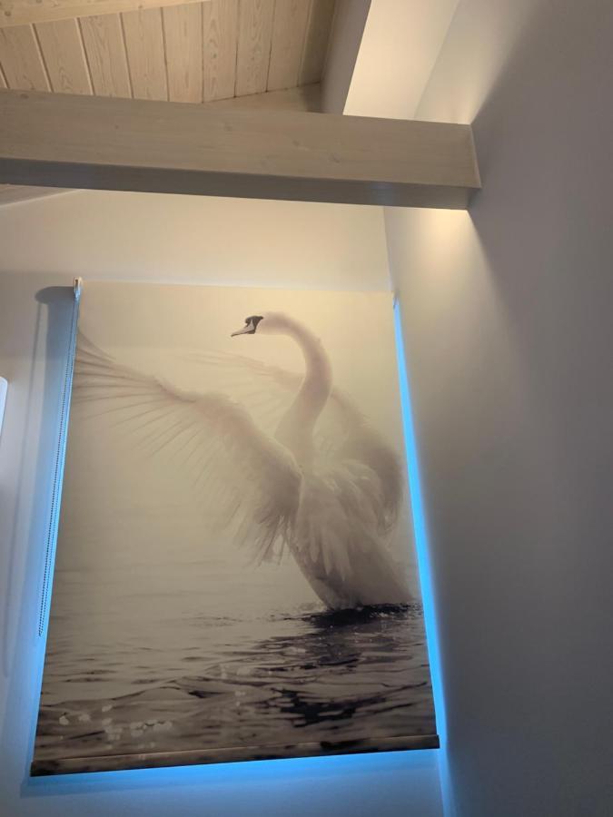 Terpsichore Boutique Bright New Sofita Studios And Appartment Dassia  Exterior foto